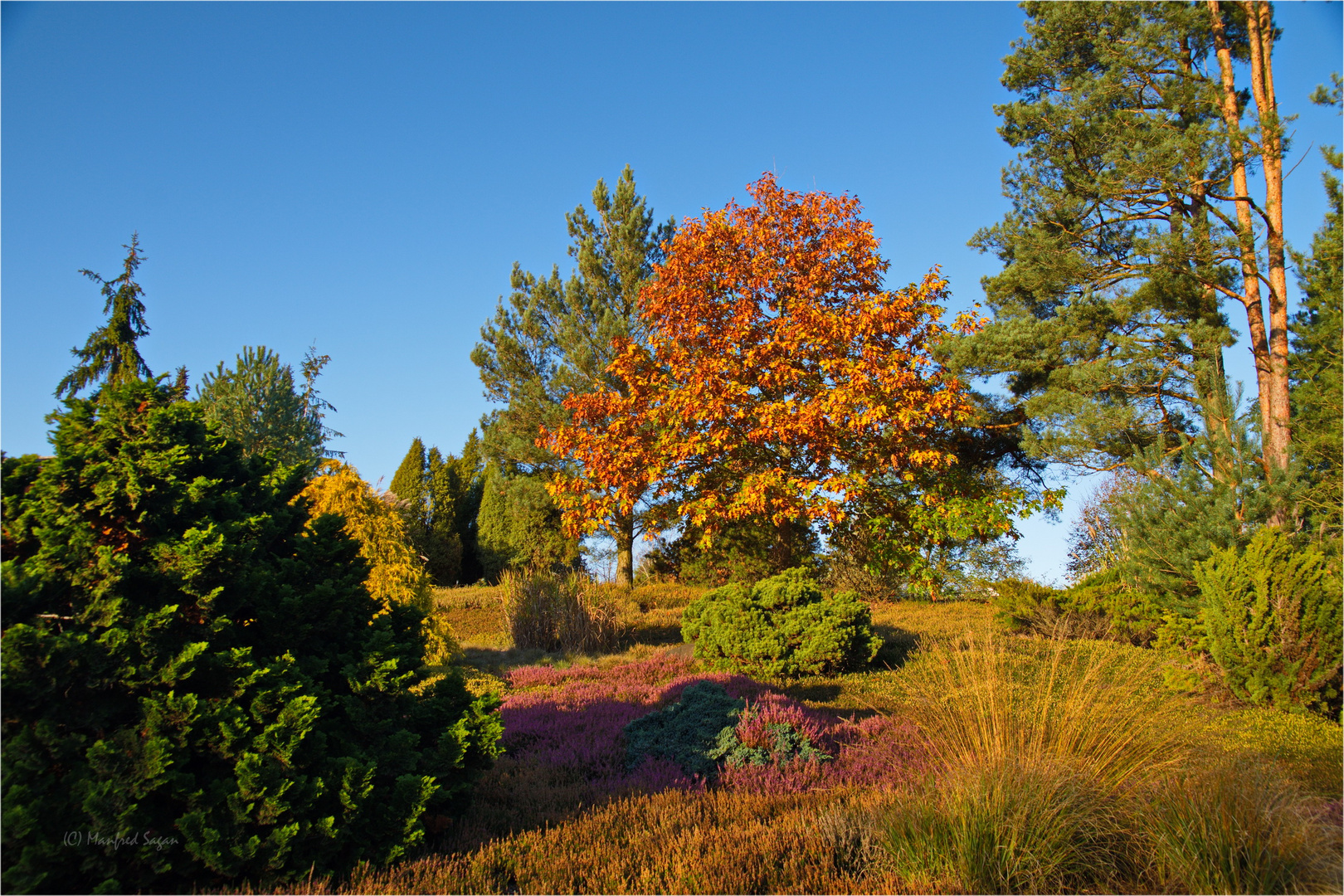Herbstfarben in Vorpommern