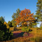 Herbstfarben in Vorpommern