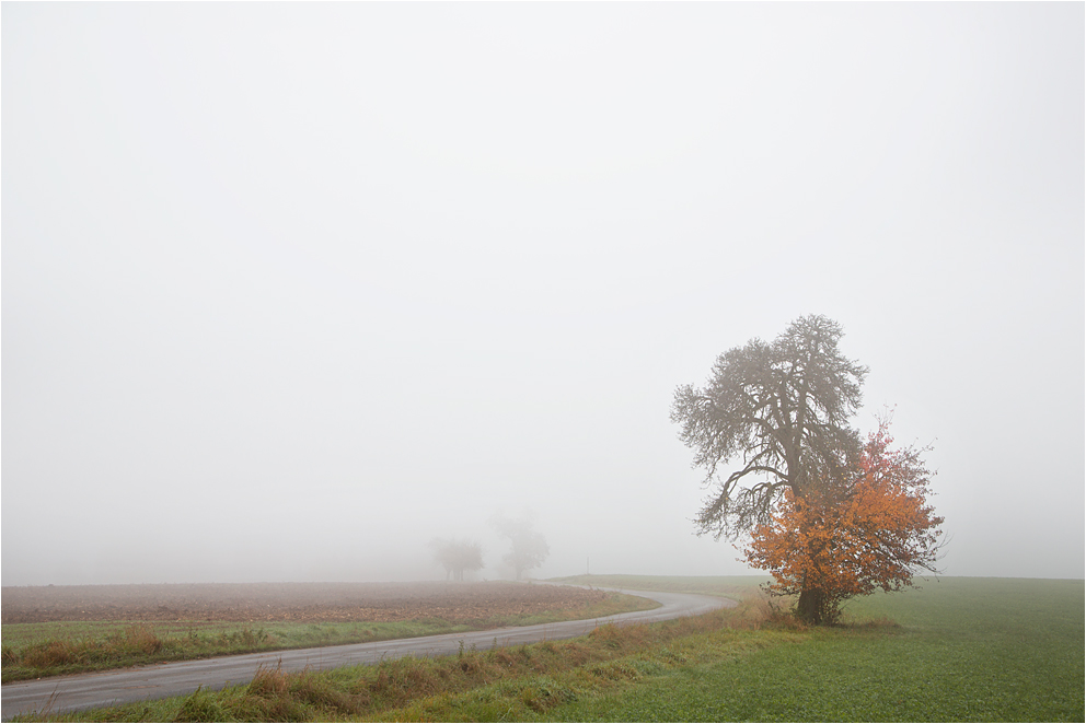 ..Herbstfarben,  in Watte gepackt..