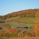 Herbstfarben in Wutachtal