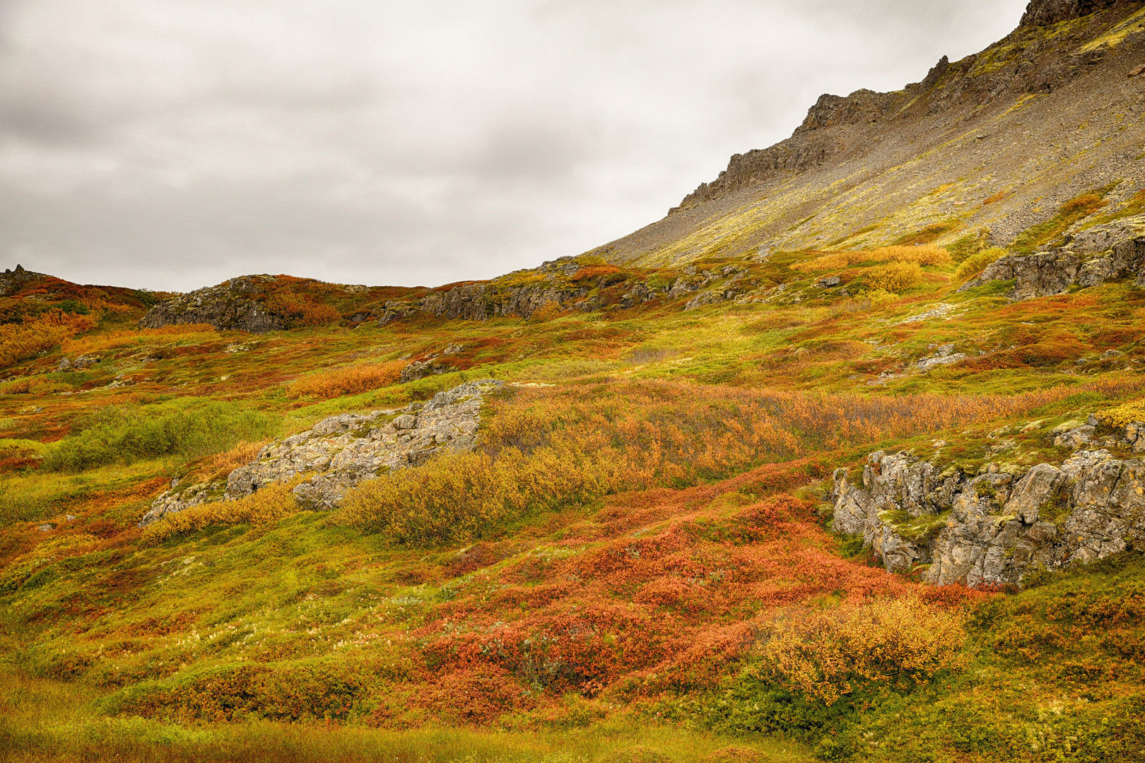 Herbstfarben Islands