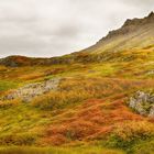 Herbstfarben Islands