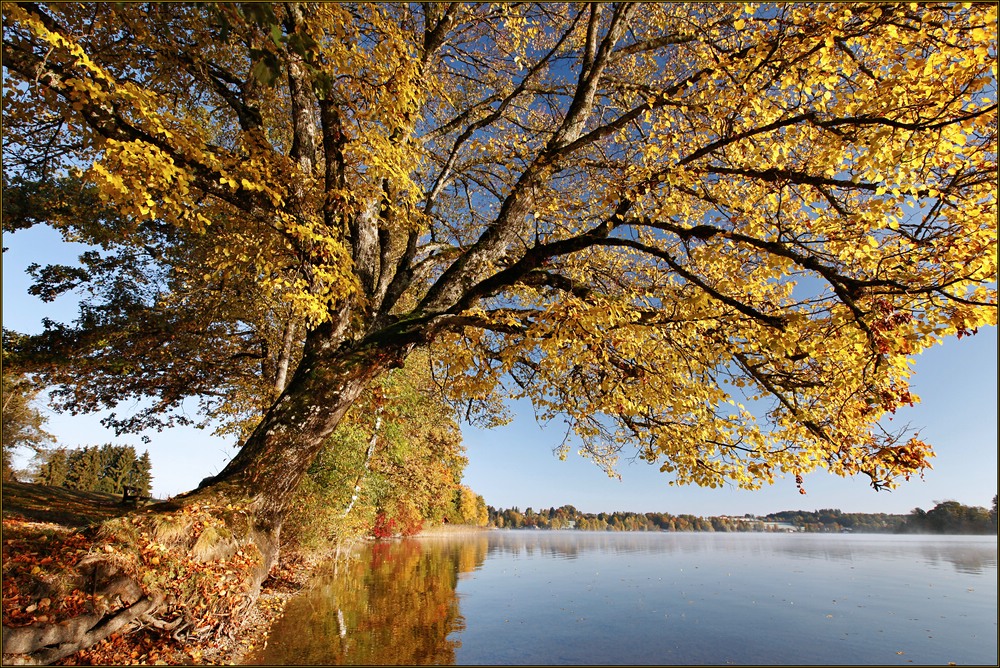 ~ Herbstfarben IV ~