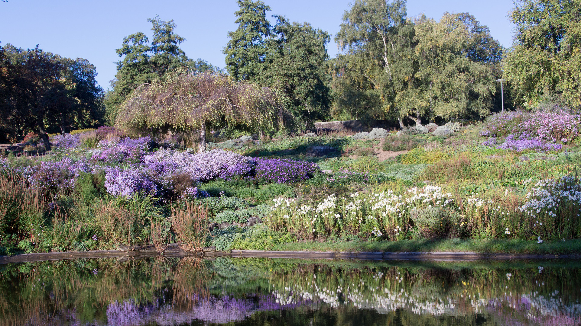 Herbstfarben, Killesberg-Park am Morgen