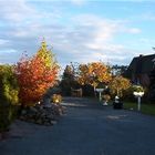 Herbstfarben künden von der Vergänglichkeit des Seins