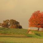 Herbstfarben leuchten.