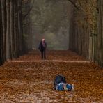 Herbstfarben `making of´