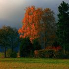 Herbstfarben mit Gewitterhimmel