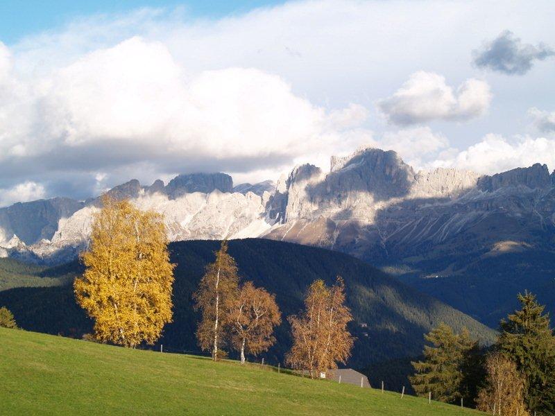 Herbstfarben mit Sonne und Schatten