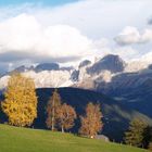 Herbstfarben mit Sonne und Schatten