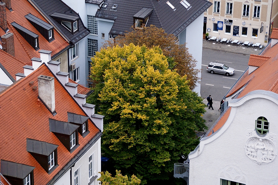 Herbstfarben mittendrinn