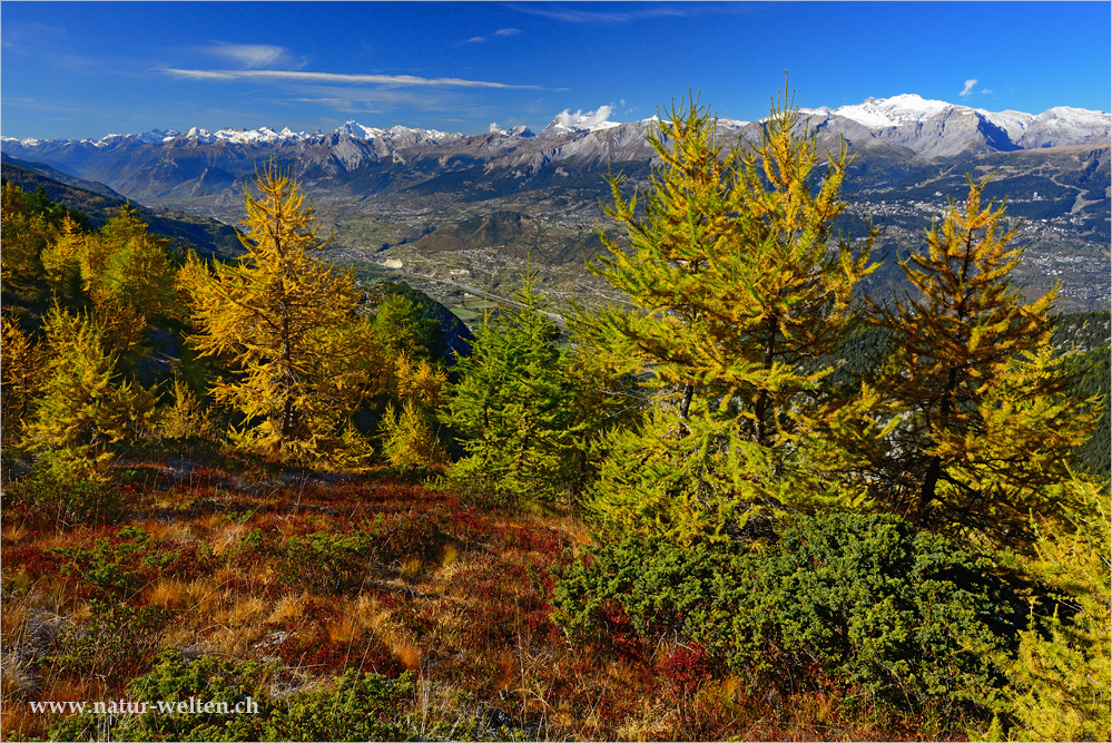 Herbstfarben nähe Illgraben