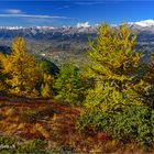 Herbstfarben nähe Illgraben