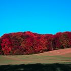 Herbstfarben Natur pur 