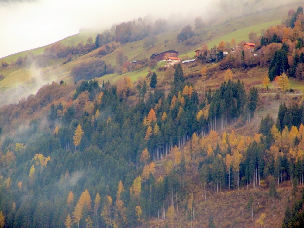 Herbstfarben Oberpinzgau ( Salzburgland )