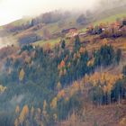 Herbstfarben Oberpinzgau ( Salzburgland )