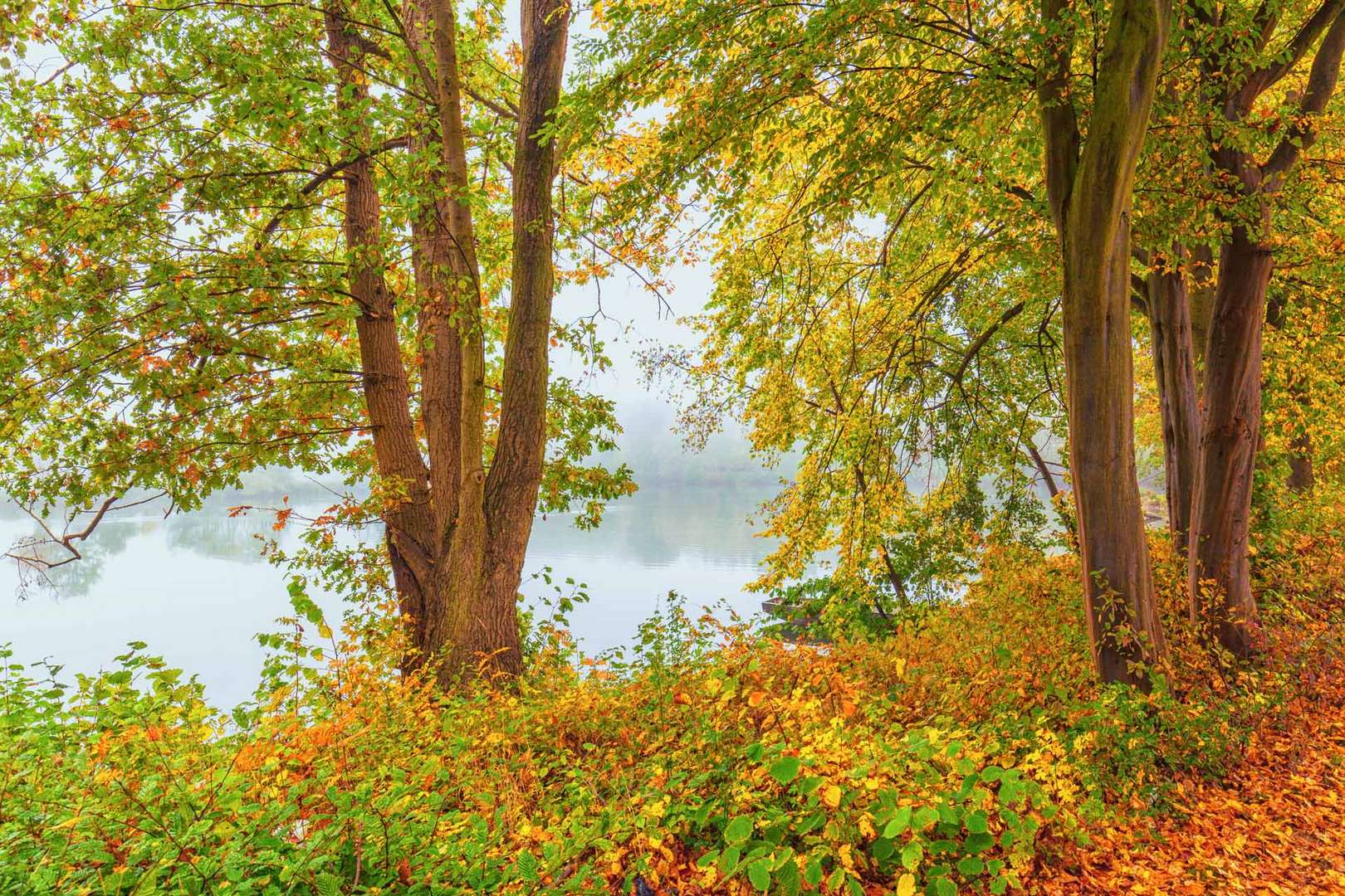 Herbstfarben Oktober