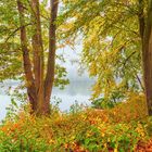 Herbstfarben Oktober