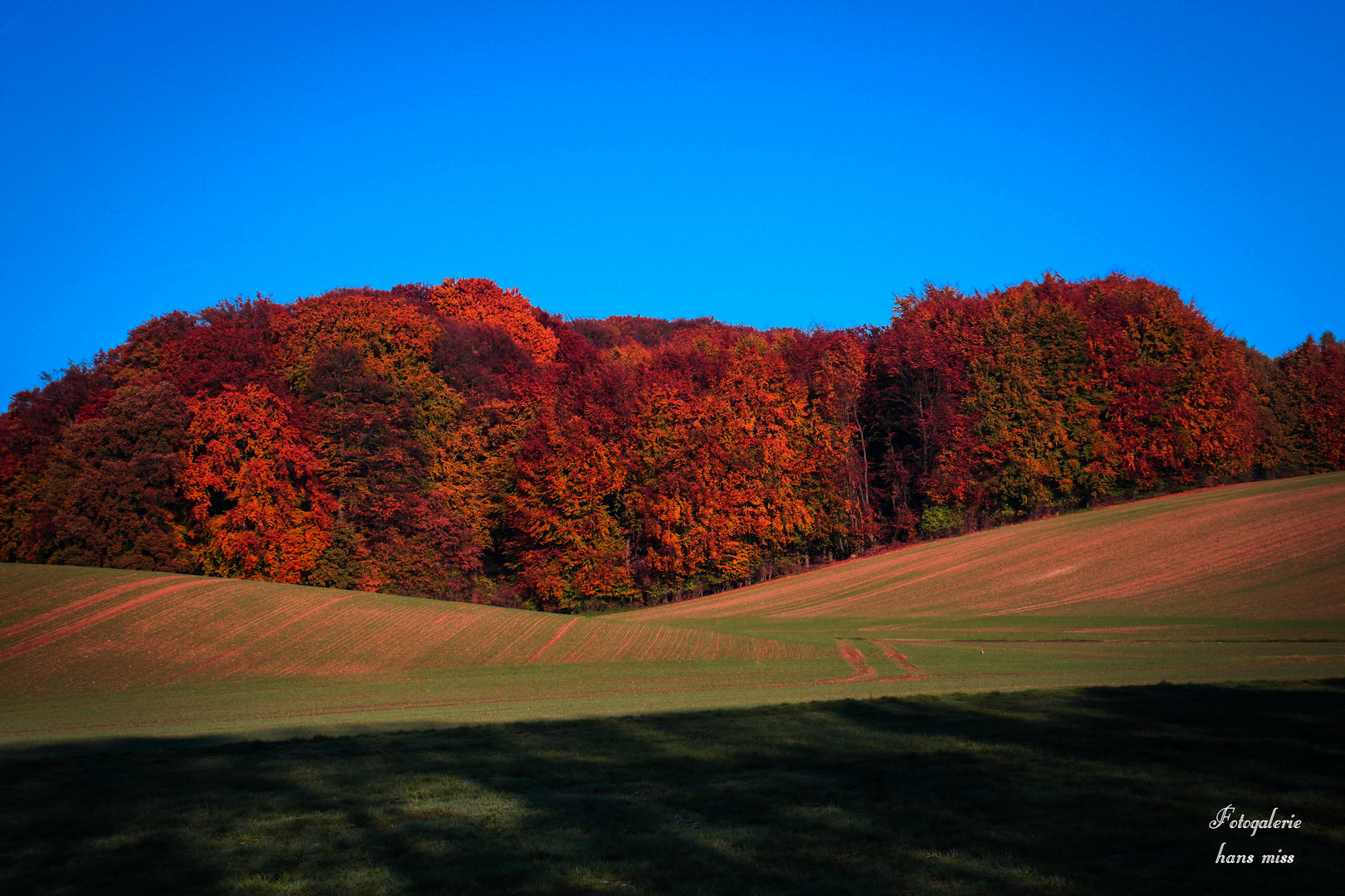 Herbstfarben pur