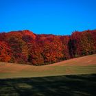 Herbstfarben pur