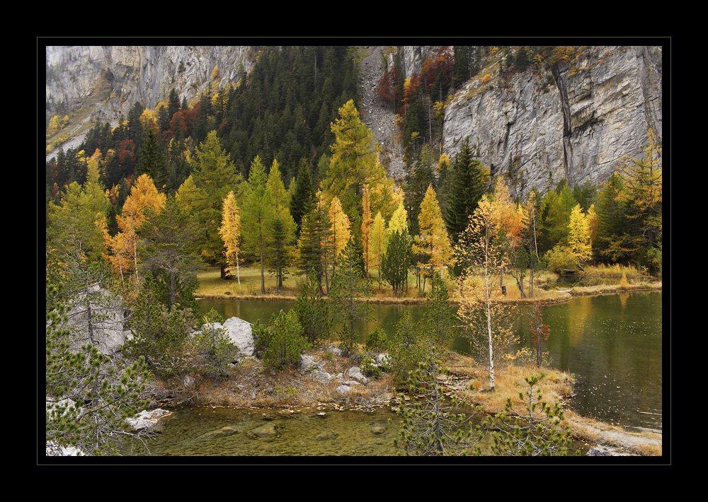 Herbstfarben-Rausch in Derborence #1