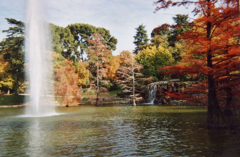 Herbstfarben (Retiro Park in Madrid)