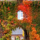 Herbstfarben - Schloss Haag