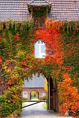 Herbstfarben - Schloss Haag