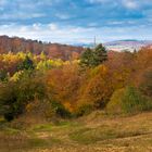 Herbstfarben, Schmidtenhöhe, Koblenz