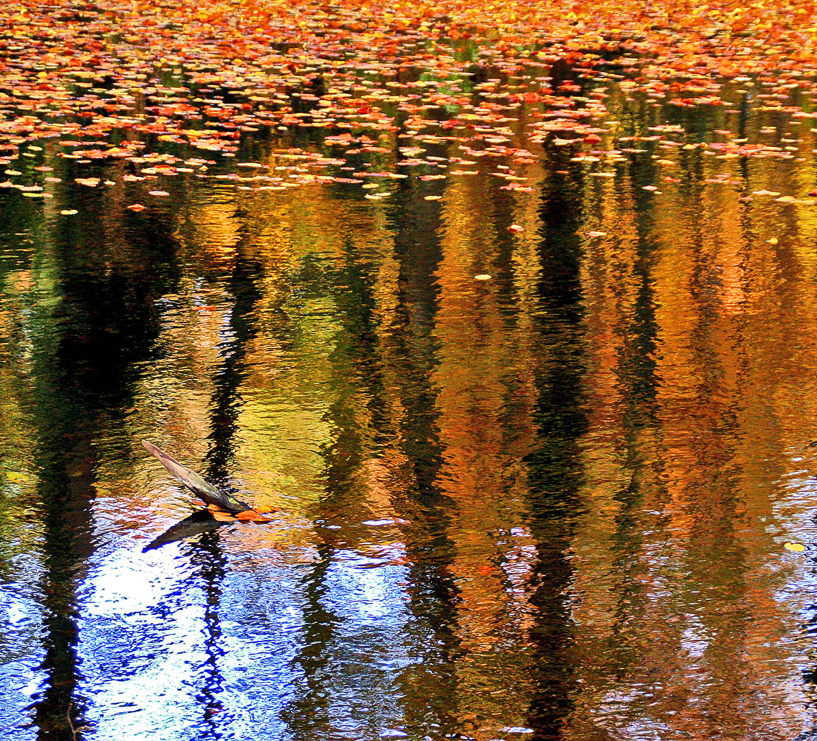 Herbstfarben - Sinfonie