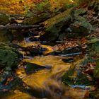 Herbstfarben - Spiegelung