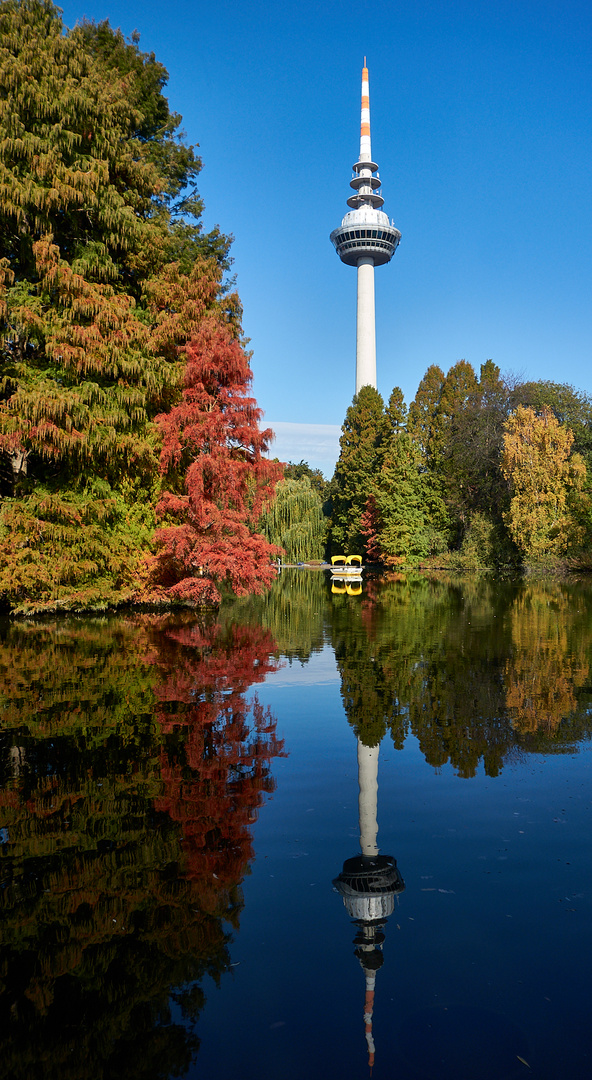 Herbstfarben & Spiegelung