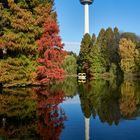 Herbstfarben & Spiegelung