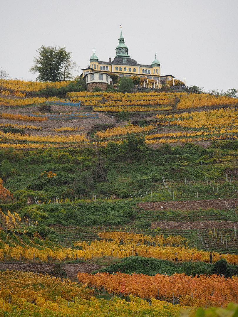 Herbstfarben Spitzhaus