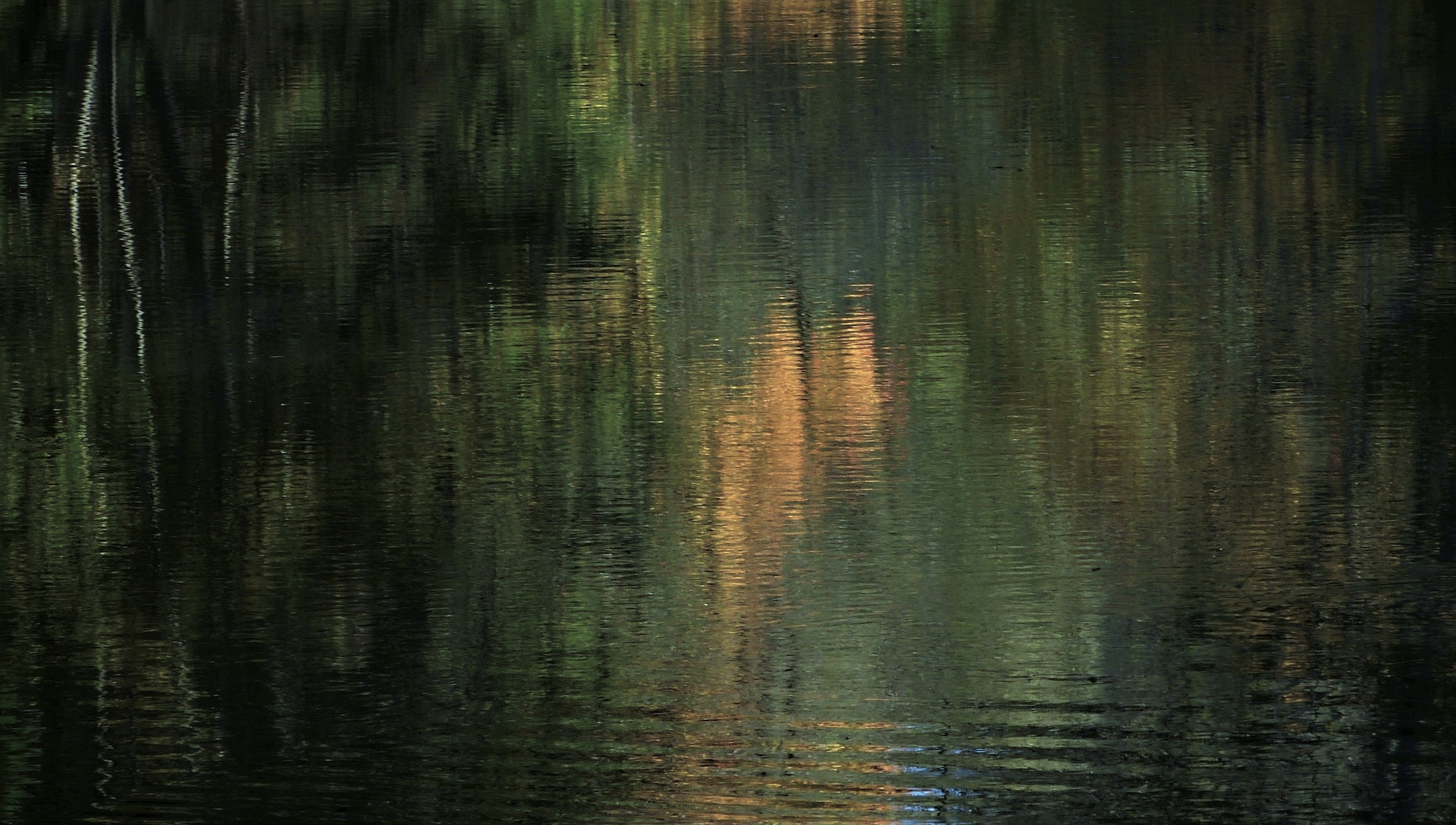 Herbstfarben tanzen auf dem Wasser