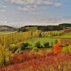 Herbstfarben über dem Tauber-und Umpfertal.