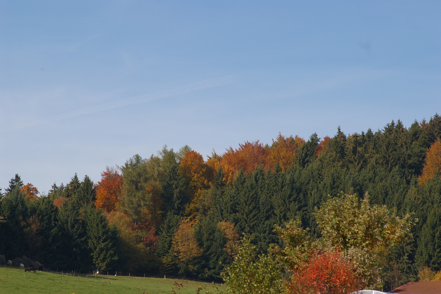 Herbstfarben über den Tannberg