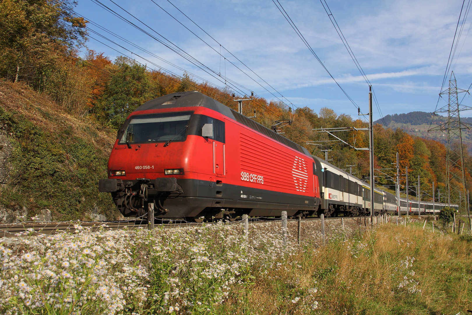 Herbstfarben und Bahn