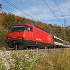 Herbstfarben und Bahn