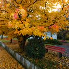 Herbstfarben und einsame Parkbank