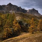 Herbstfarben und Lichtspiele