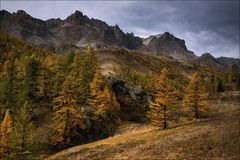 Herbstfarben und Lichtspiele