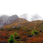 Herbstfarben und Nebel jenseits der Baumgrenze