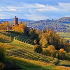 Herbstfarben unter dem Ortenberger Schloss