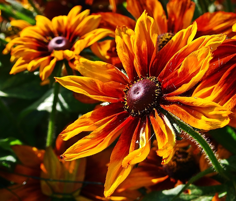 Herbstfarben versponnen