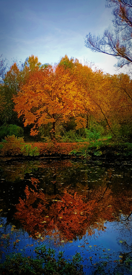 Herbstfarben Wasserspiegelung
