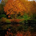 Herbstfarben Wasserspiegelung