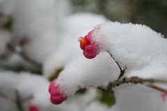 Herbstfarben - Winterstimmung