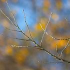 Herbstfarben_1