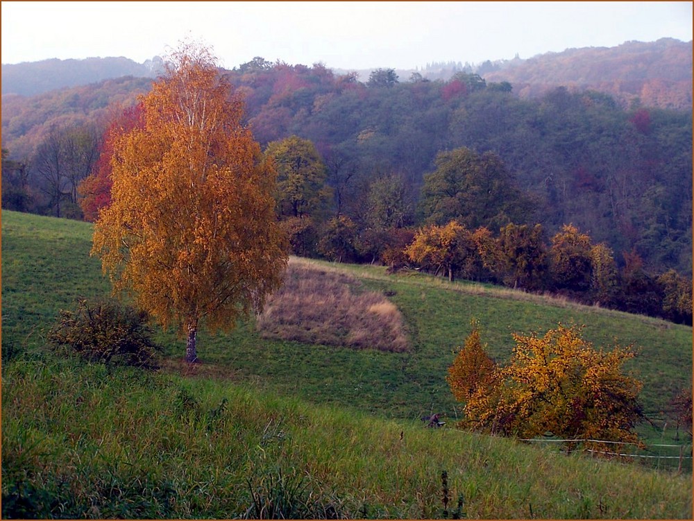 Herbstfarben#1